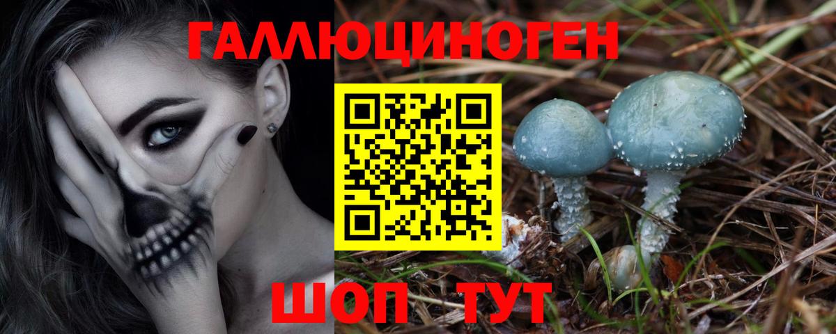Галлюциногенные грибы Psilocybine cubensis Луховицы